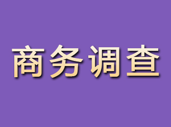 保靖商务调查